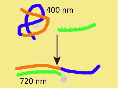 Sensing Oligonucleotides with Silver and DNA