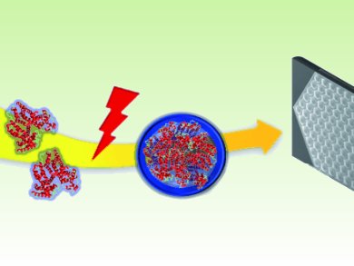 Proteins in Focus