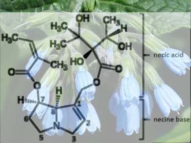 Plant Ingredients as Food Contaminants