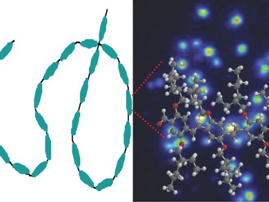 Conjugated Polymers: Because Shape Matters