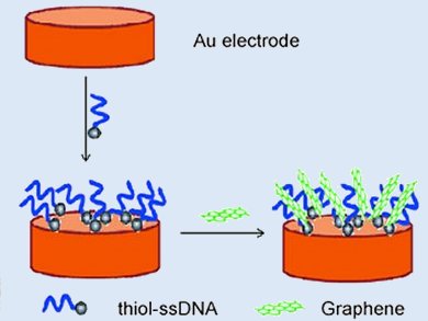 Sensitive and Selective Dopamine Sensor