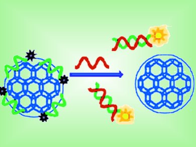 Fluorescence-Enhanced Detection of Nucleic Acids