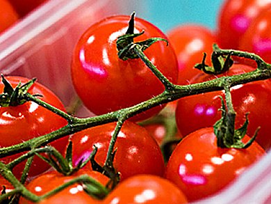 Delaying the Chemistry of Tomatoes’ Ripening