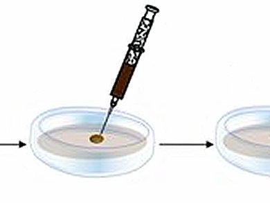 Easy Strategy to Ordered Graphene Structure