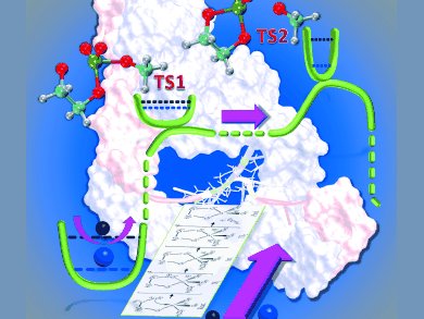 Angewandte Chemie 3/2012: The Art of Arrows