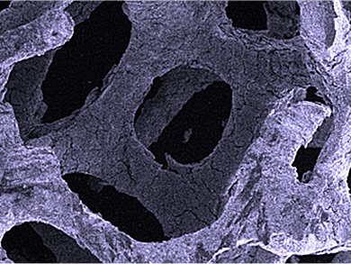 New Tool for Catalytic Reaction Engineering