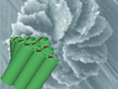 Angewandte Chemie 4/2012: It's in the Genes