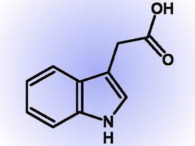 Plant Hormone Synthesis Pathway