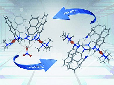 Angewandte Chemie 5/2012: Lead Structures