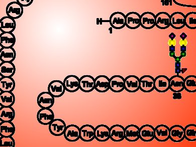 Total Chemical Synthesis of Erythropoietin