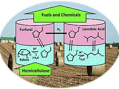 Conversion of Hemicellulose