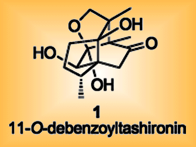 Synthesis for Your Nerves