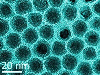 Stable Iron Nanoparticles as Contrast Agents