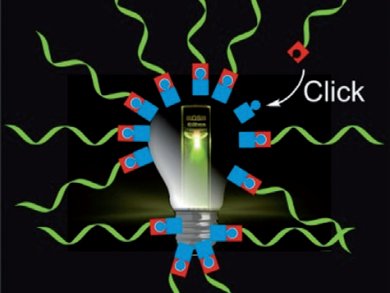 Nanolamps Light up Cells with a Click