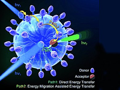 Efficient Artificial Light-harvesting System