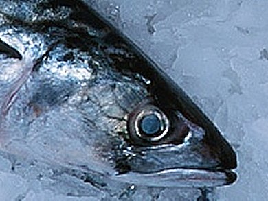 More Mercury In Fish