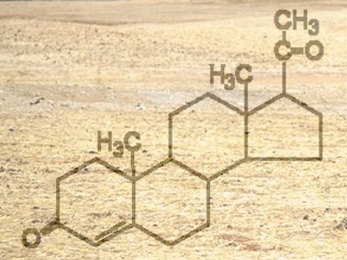 Hormone Runoff from Agricultural Fields