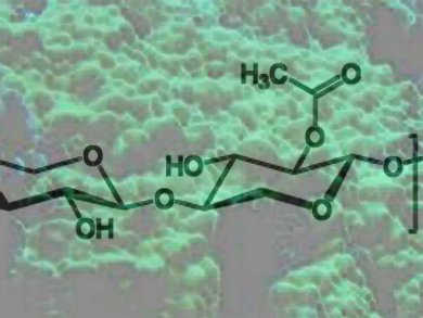 Enzymes for Manipulation of Algal Biomass