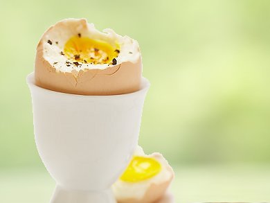 Egg Output Data and Food Regulations Applicable in Germany — Part of the Boiled Eggs Article