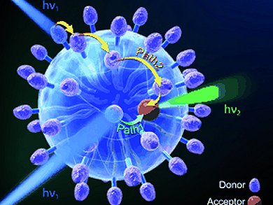 Angewandte Chemie 9/2012: Sunny Outlook