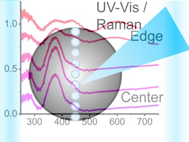 Egg-like Distribution Preferred to Uniform