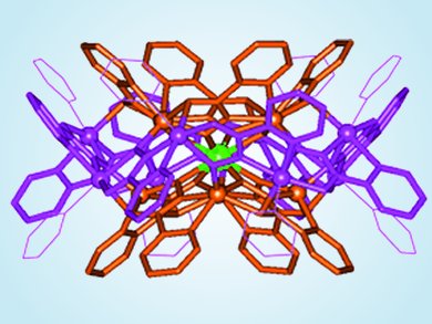 2011 Trends in Inorganic Chemistry