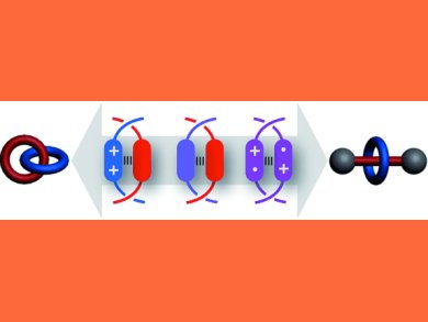 Mechanically Interlocked Molecules