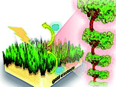 Angewandte Chemie 11/2012: A Sustainable Future