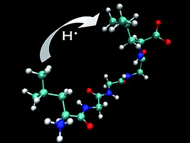 Angewandte Chemie 12/2012: Worth the Trip