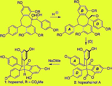 Total Syntheses of Hopeanol and Hopeahainol A