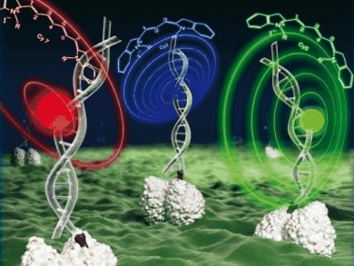 Celebrating Single Molecules