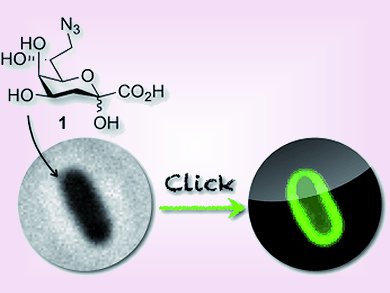 Angewandte Chemie 13/2012: Chemistry of Life