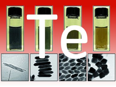 Tellurium is the New Silver for Antibacterials