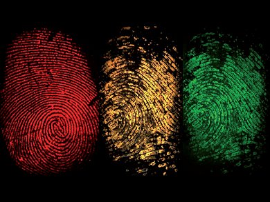 Fingerprints Tell All