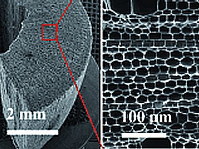 New Anode Material for Microbial Fuel Cells