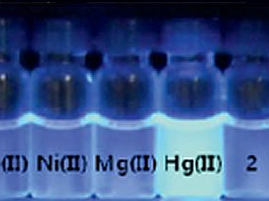 HgII-Selective Fluorescent Indicator