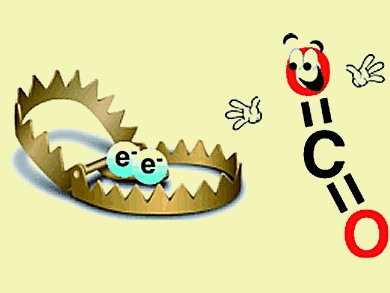 CO2 Sequestration with Amidophosphoranes