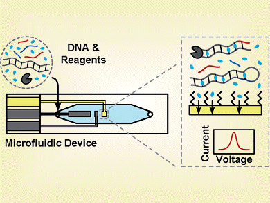 Rapid Diagnostic Tests for Pathogens