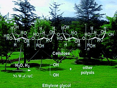 Selective Cellulose Conversion