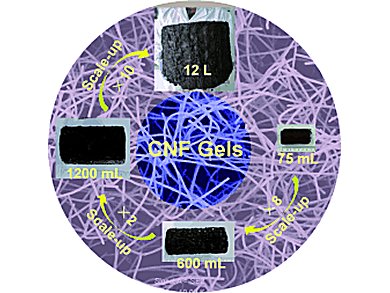 Large-Scale Fabrication of Hydro- And Aerogels