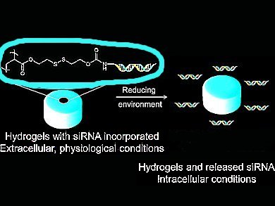 Effective siRNA Delivery