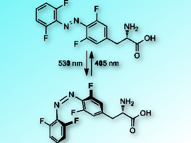 Reversible Control of Protein Function with Light