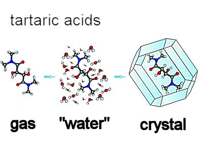 Conformations of Tartaric Acids