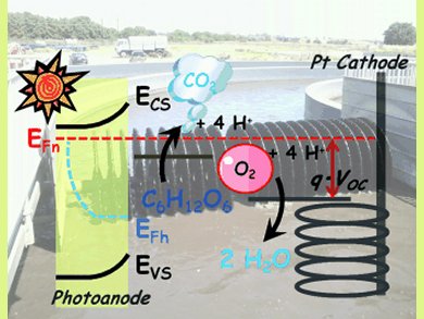 Solar-Energy-Driven Biomass Fuel Cell