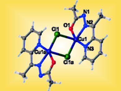 New Copper Coordination Compounds