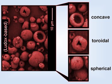 Simulated Digestion for Better Drug Delivery