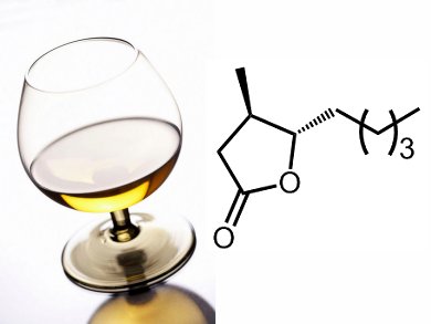 From Radicals to γ-Lactones