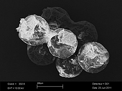 Online Monitoring of Vinyl Chloride Polymerization