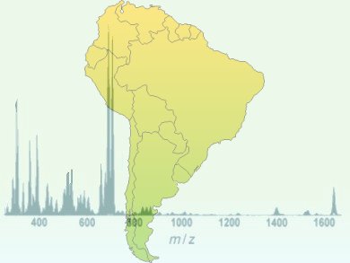Highest MS Resolution in Latin America