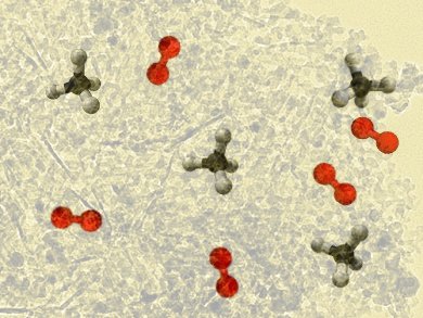 Pretreating with Feedstock Improves Catalyst Perfomance